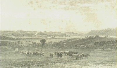 1840s sketck depicting the Cowpastures