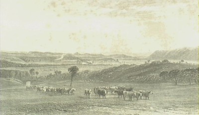 1840s sketch depicting the Cowpastures